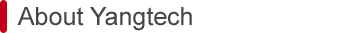 About Yangtech
